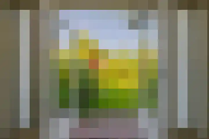Lucas van Leijdenlaan 13 Heemstede thumbnail 10