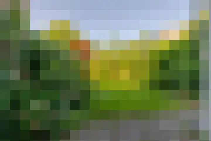 Lucas van Leijdenlaan 13 Heemstede thumbnail 11
