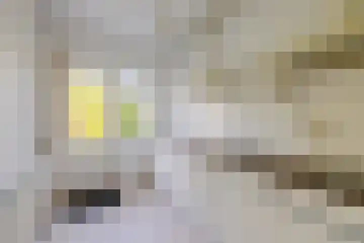 Lucas van Leijdenlaan 13 Heemstede thumbnail 12