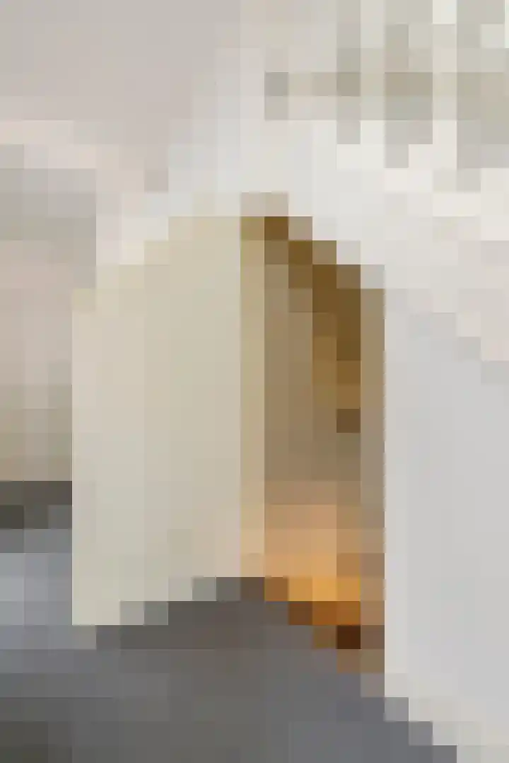 Lucas van Leijdenlaan 13 Heemstede thumbnail 17