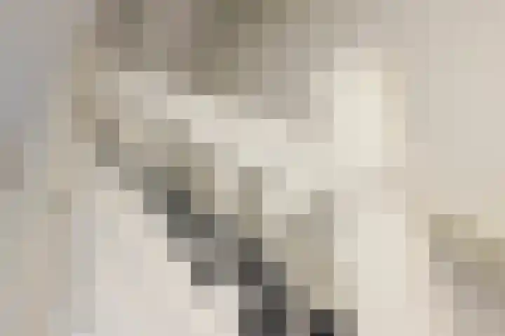 Lucas van Leijdenlaan 13 Heemstede thumbnail 20