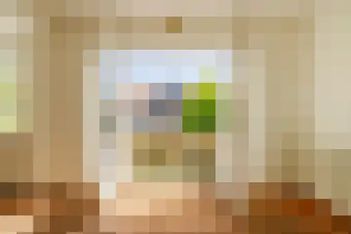 Lucas van Leijdenlaan 13 Heemstede thumbnail 22
