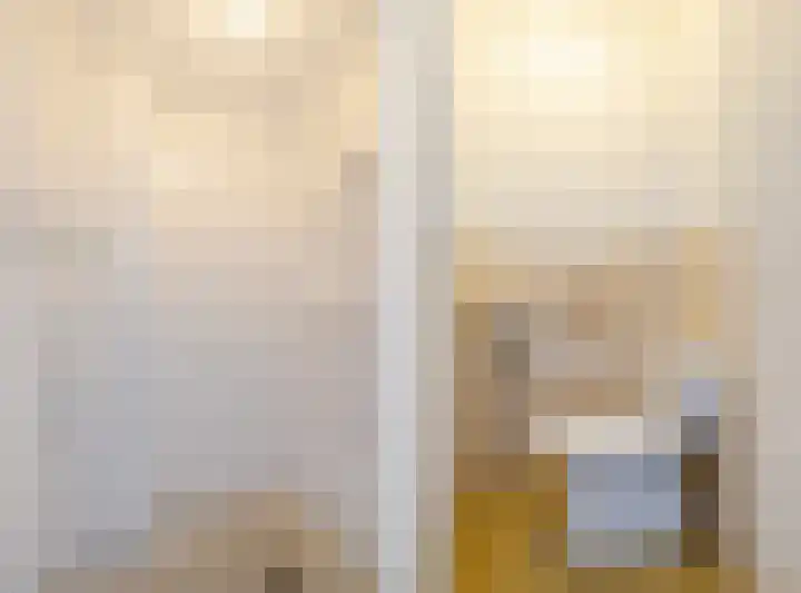 Lucas van Leijdenlaan 13 Heemstede thumbnail 32
