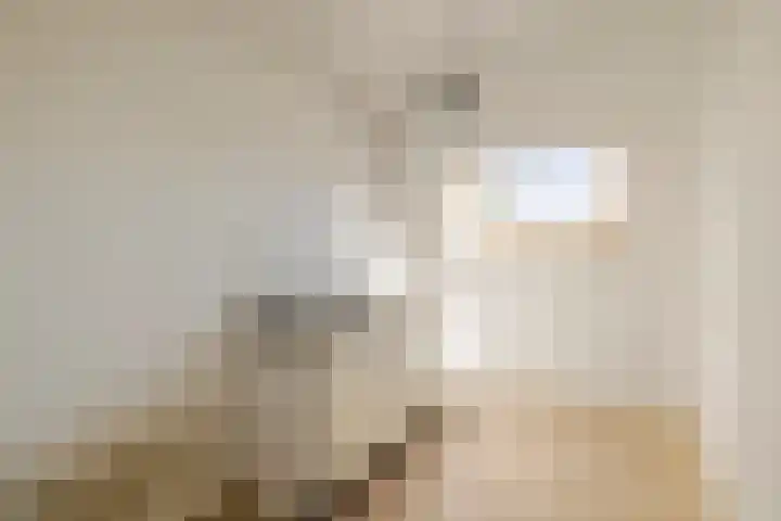 Lucas van Leijdenlaan 13 Heemstede thumbnail 37
