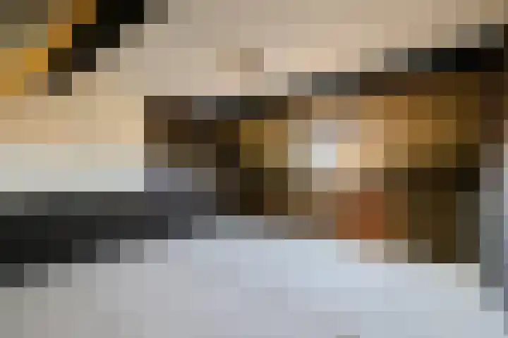 Lucas van Leijdenlaan 13 Heemstede thumbnail 43