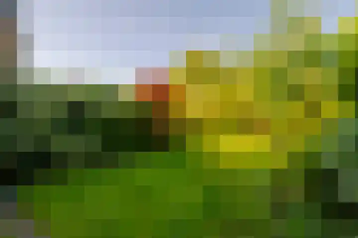 Lucas van Leijdenlaan 13 Heemstede thumbnail 45