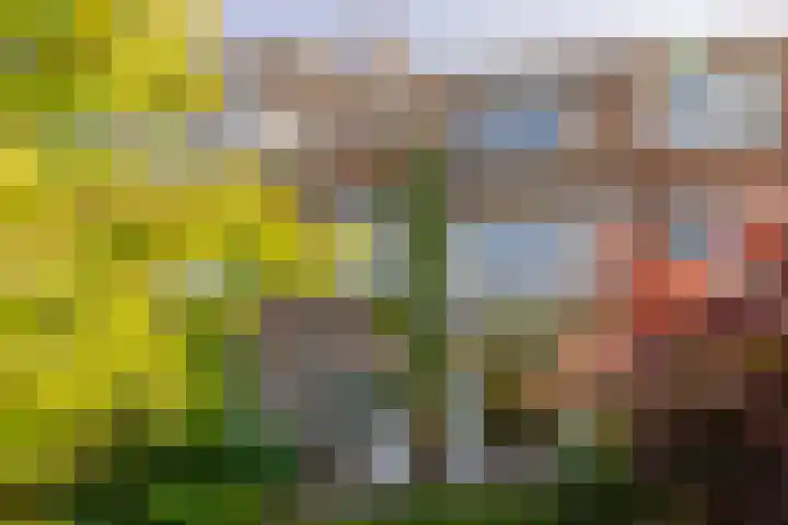 Lucas van Leijdenlaan 13 Heemstede thumbnail 46