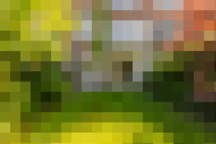 Lucas van Leijdenlaan 13 Heemstede thumbnail 47