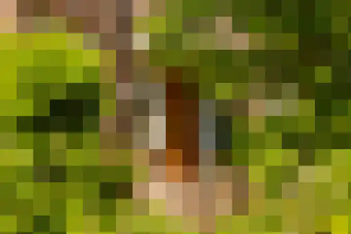Lucas van Leijdenlaan 13 Heemstede thumbnail 48