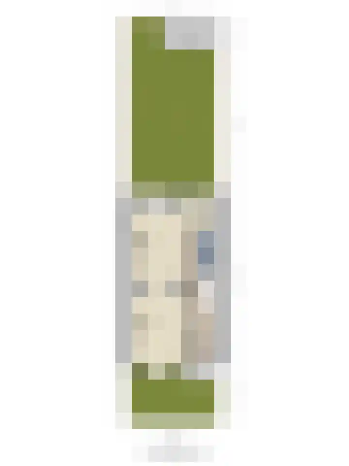 Lucas van Leijdenlaan 13 Heemstede thumbnail 57