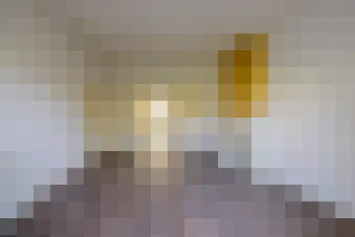 Lucas van Leijdenlaan 13 Heemstede thumbnail 8