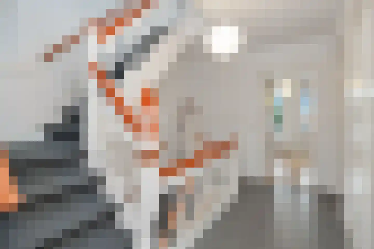 Lucas van Leijdenlaan 15 Heemstede thumbnail 21