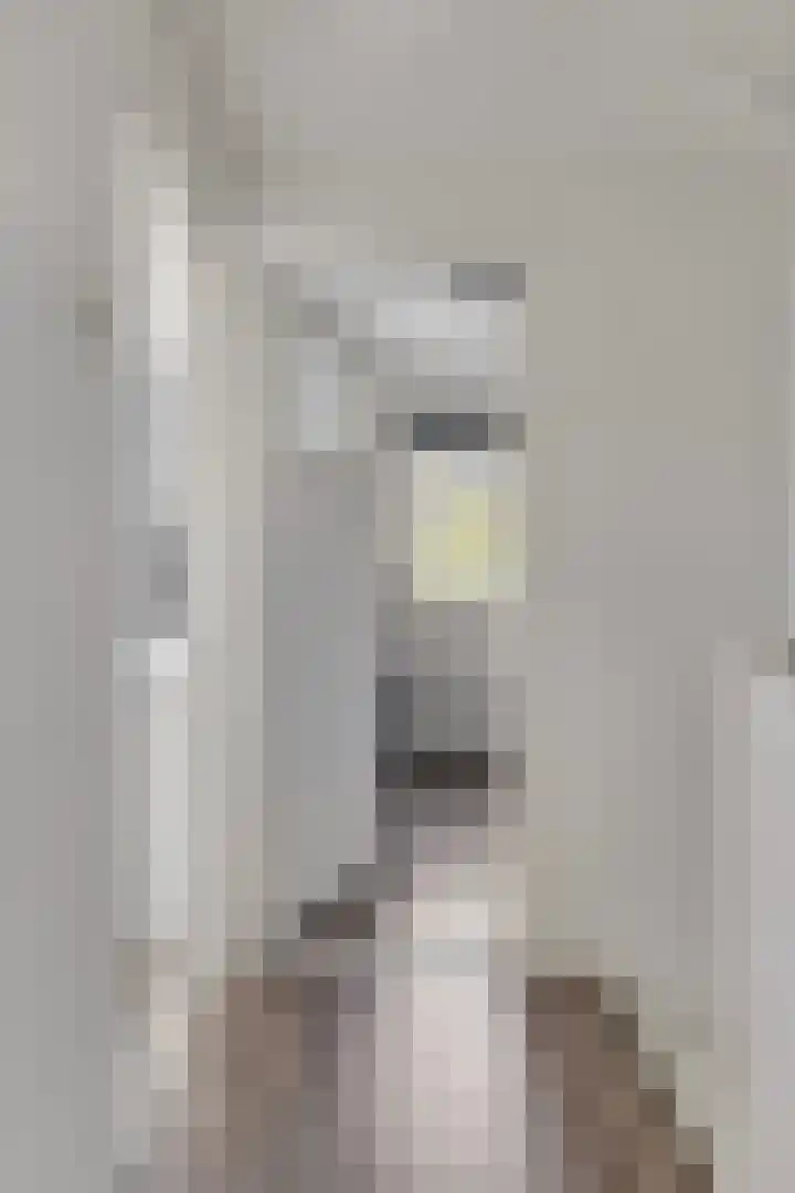 Lucas van Leijdenpad 9 Spijkenisse thumbnail 12