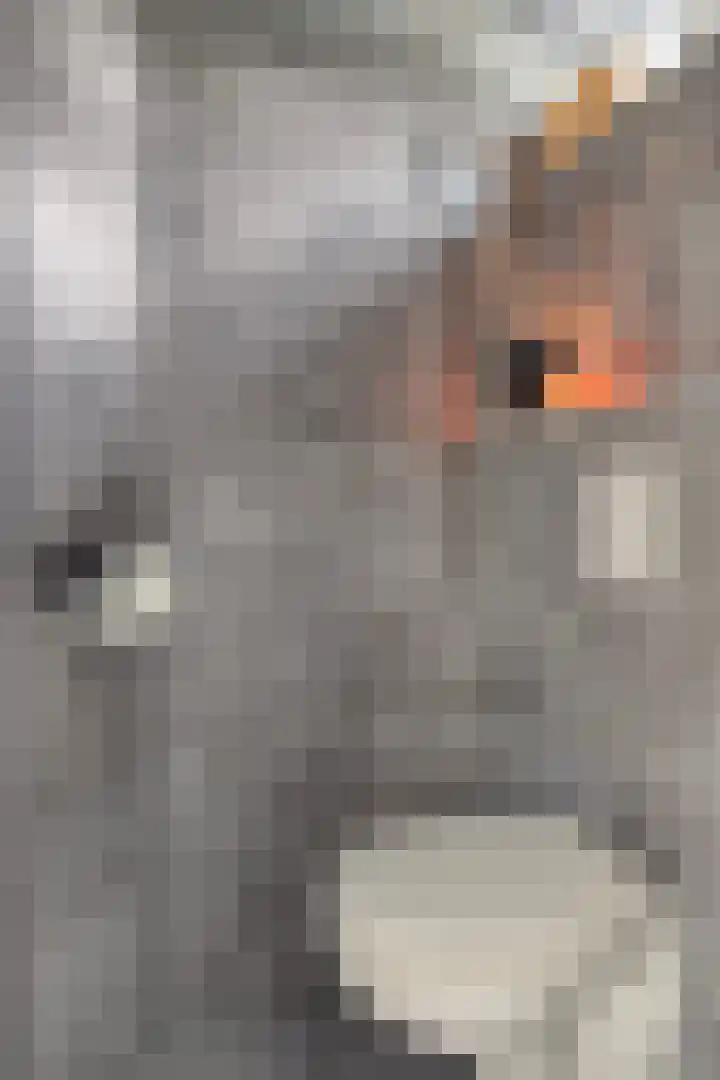 Lucas van Leijdenpad 9 Spijkenisse thumbnail 13