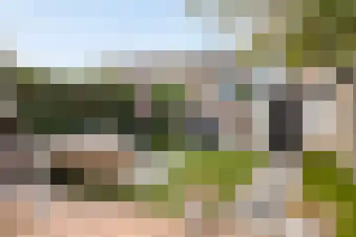 Lucas van Leijdenpad 9 Spijkenisse thumbnail 17
