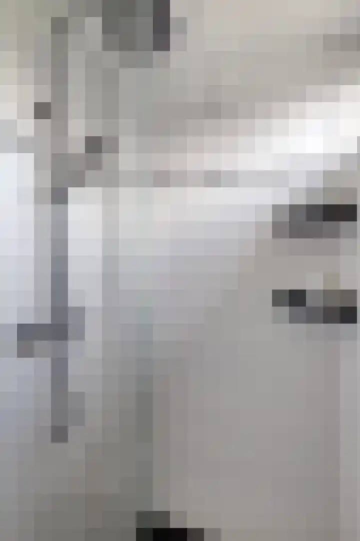 Lucas van Leijdenpad 9 Spijkenisse thumbnail 26