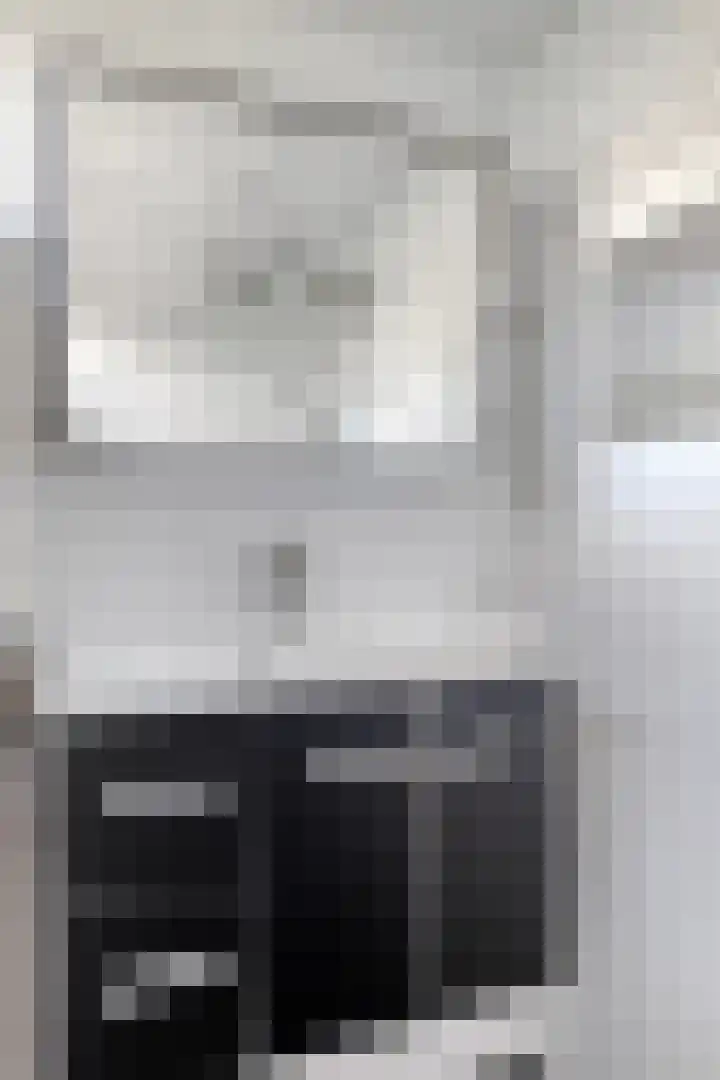 Lucas van Leijdenpad 9 Spijkenisse thumbnail 27