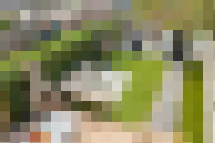 Lucas van Leijdenpad 9 Spijkenisse thumbnail 30