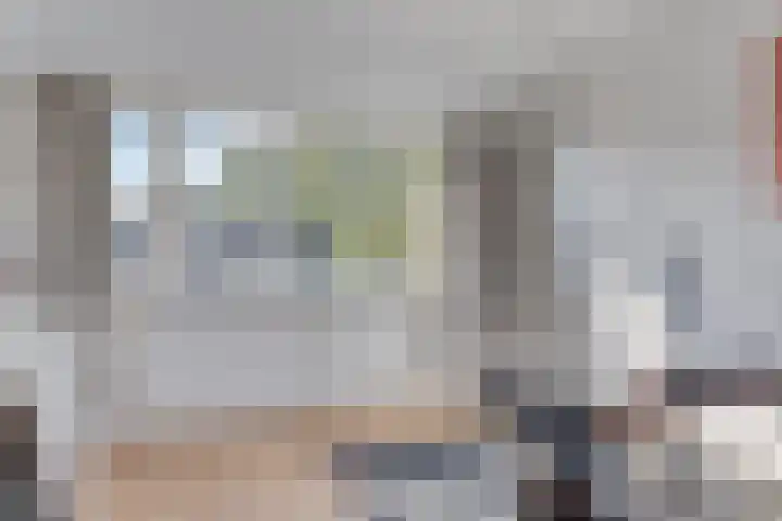 Lucas van Leijdenpad 9 Spijkenisse thumbnail 35