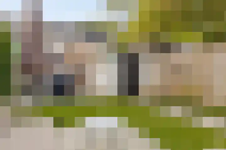 Lucas van Leijdenpad 9 Spijkenisse thumbnail 39