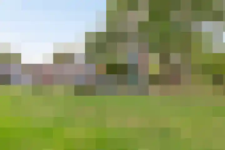 Lucas van Leijdenpad 9 Spijkenisse thumbnail 40