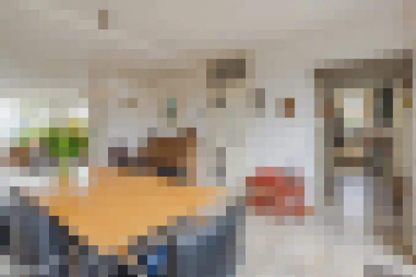 Lucas van Leijdenstraat 11 Hazerswoude-Dorp thumbnail 11