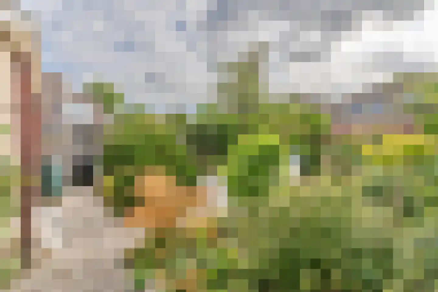 Lucas van Leijdenstraat 11 Hazerswoude-Dorp thumbnail 13
