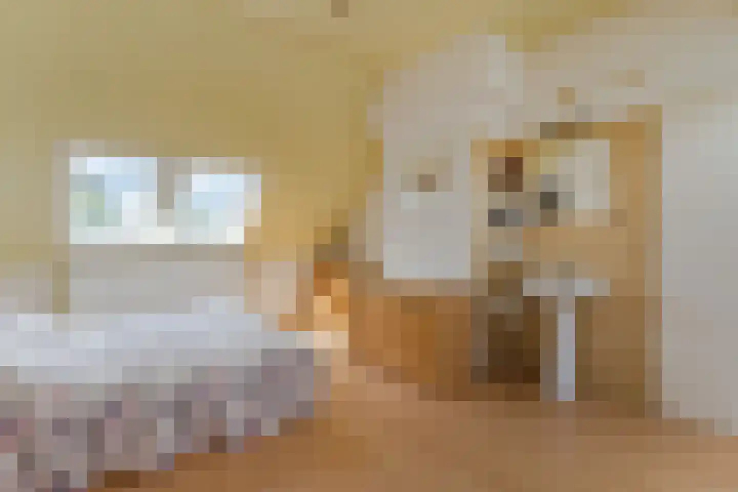 Lucas van Leijdenstraat 11 Hazerswoude-Dorp thumbnail 28