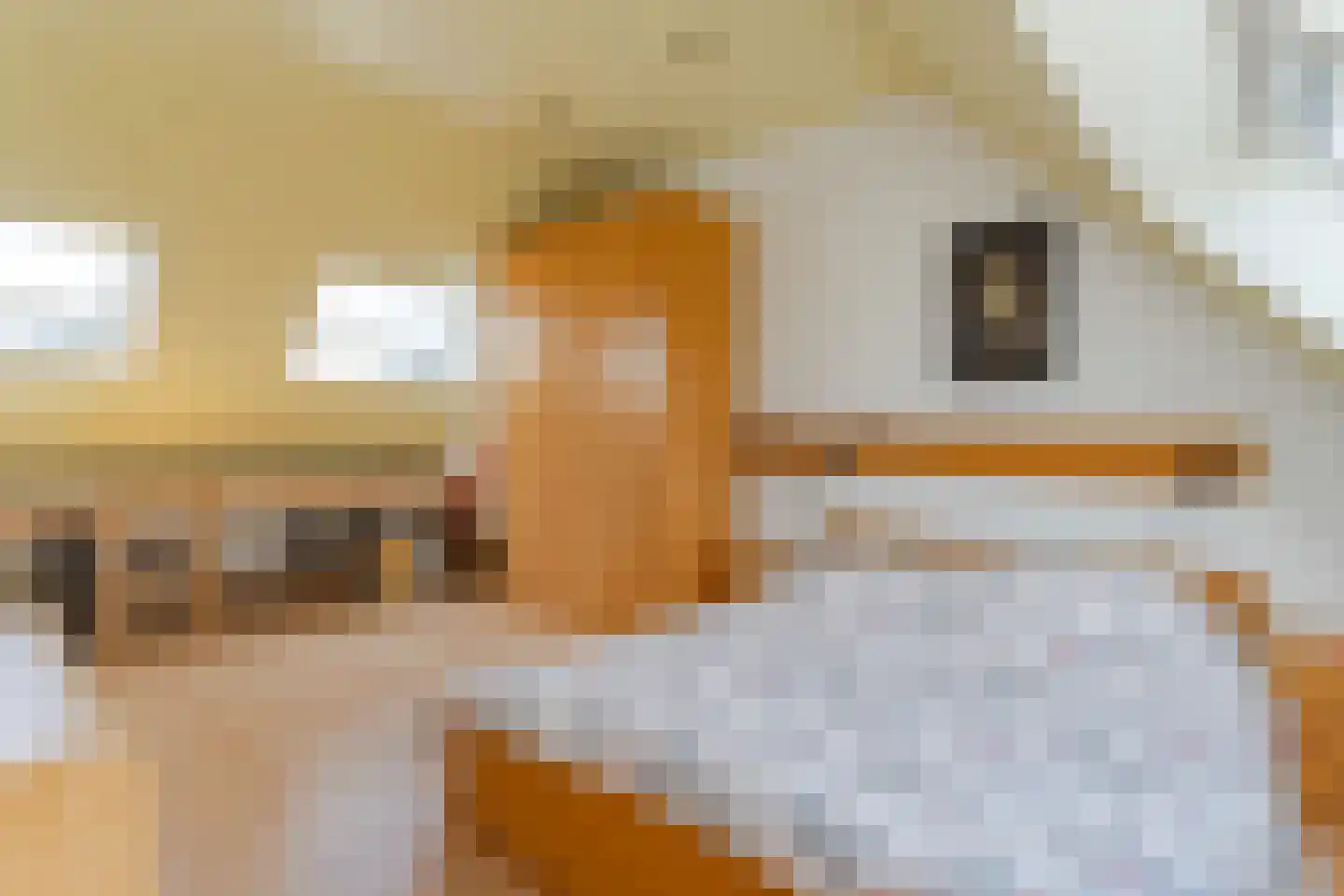 Lucas van Leijdenstraat 11 Hazerswoude-Dorp thumbnail 29