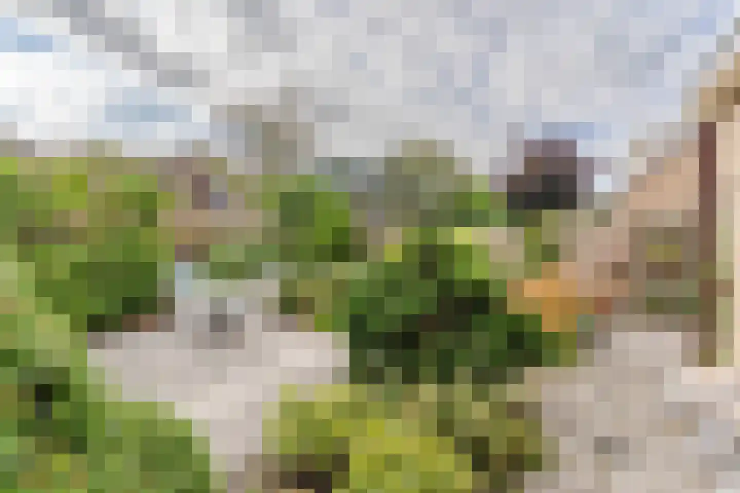 Lucas van Leijdenstraat 11 Hazerswoude-Dorp thumbnail 4
