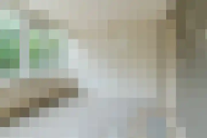 Lucas van Leijdenstraat 2 Kaatsheuvel thumbnail 13