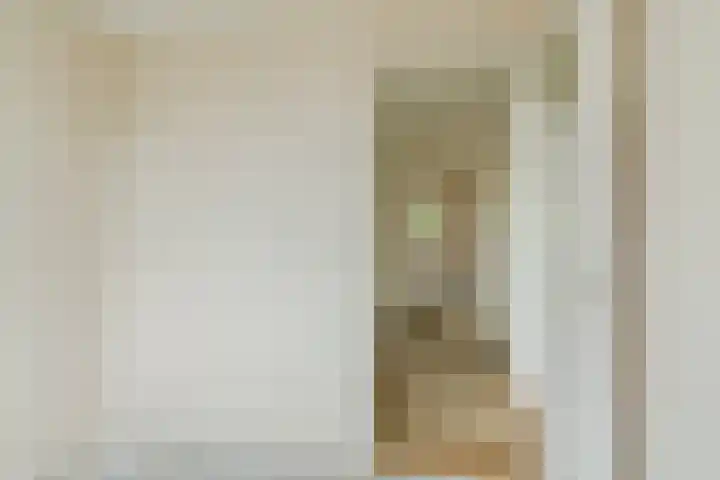 Lucas van Leijdenstraat 2 Kaatsheuvel thumbnail 19