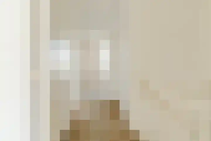 Lucas van Leijdenstraat 2 Kaatsheuvel thumbnail 24