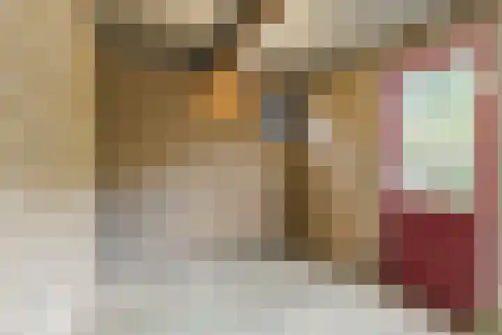 Lucas van Leijdenstraat 2 Kaatsheuvel thumbnail 31