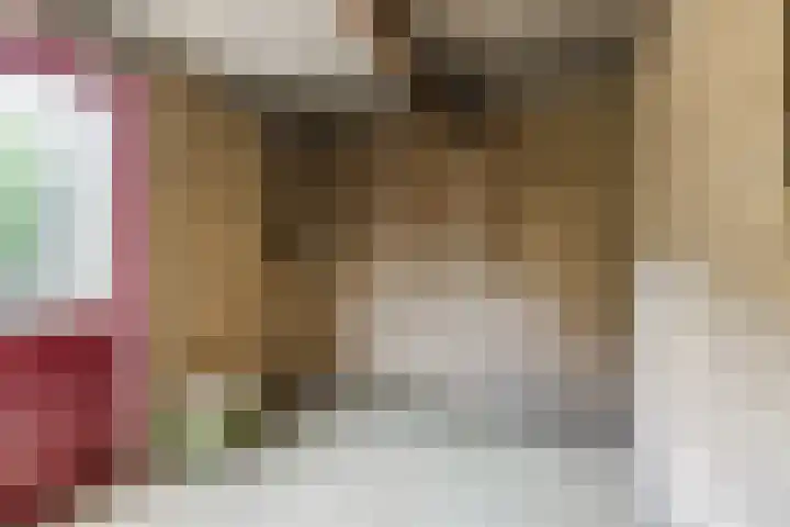 Lucas van Leijdenstraat 2 Kaatsheuvel thumbnail 32