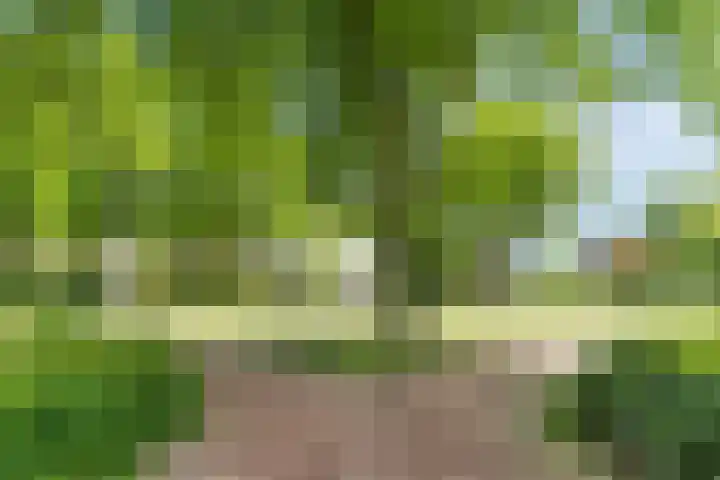 Lucas van Leijdenstraat 2 Kaatsheuvel thumbnail 38