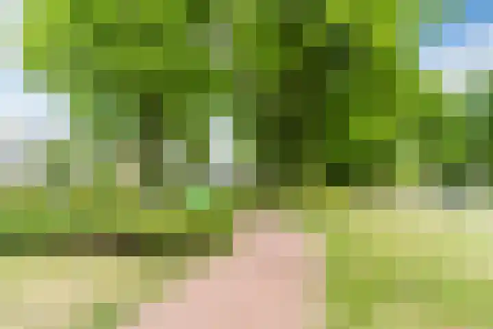 Lucas van Leijdenstraat 2 Kaatsheuvel thumbnail 39