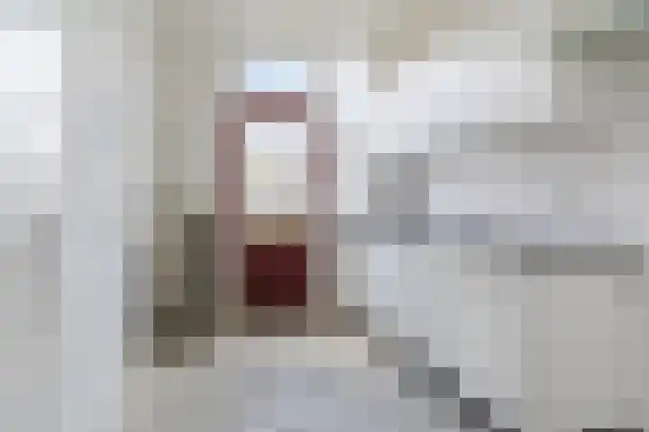 Lucas van Leijdenstraat 2 Kaatsheuvel thumbnail 5