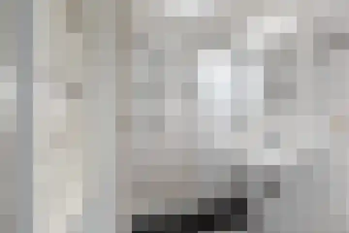 Lucas van Leijdenstraat 6 Kaatsheuvel thumbnail 18