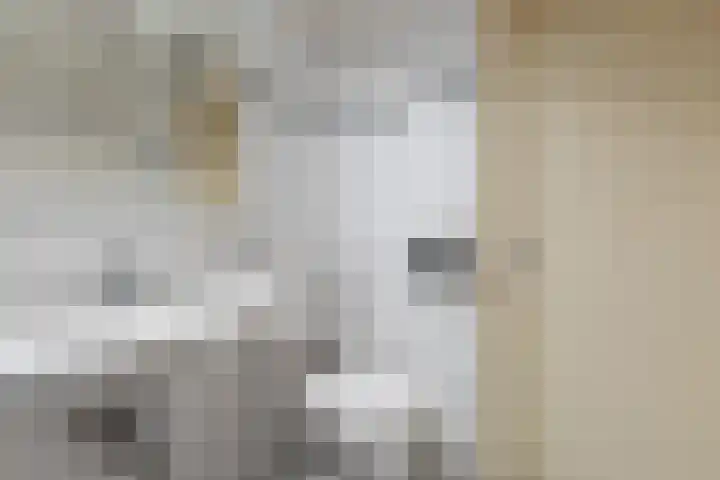 Lucas van Leijdenstraat 6 Kaatsheuvel thumbnail 19