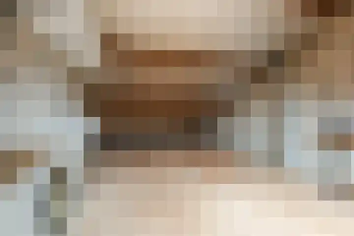 Lucas van Leijdenstraat 6 Kaatsheuvel thumbnail 21