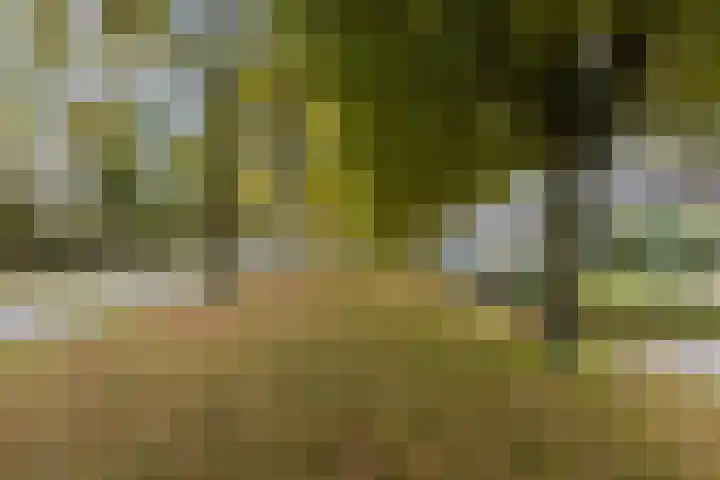 Lucas van Leijdenstraat 6 Kaatsheuvel thumbnail 34