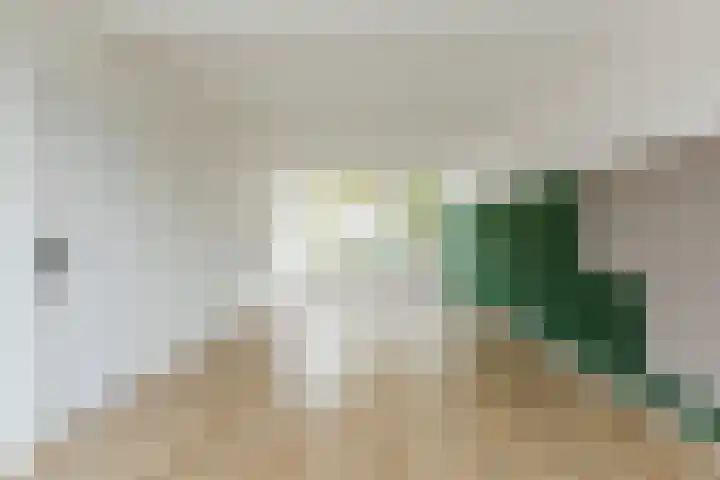Lucas van Leijdenstraat 6 Kaatsheuvel thumbnail 4