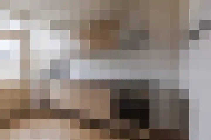 Lucas van Leijdenstraat 6 Kaatsheuvel thumbnail 5