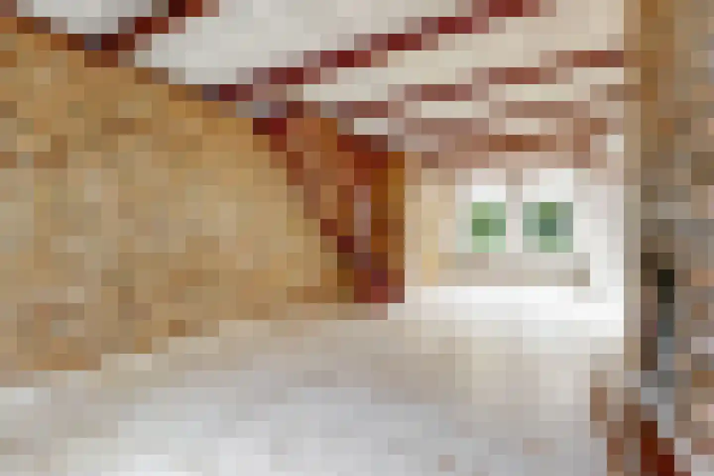 Lucas van Leijdenstraat 8 Leiden thumbnail 10
