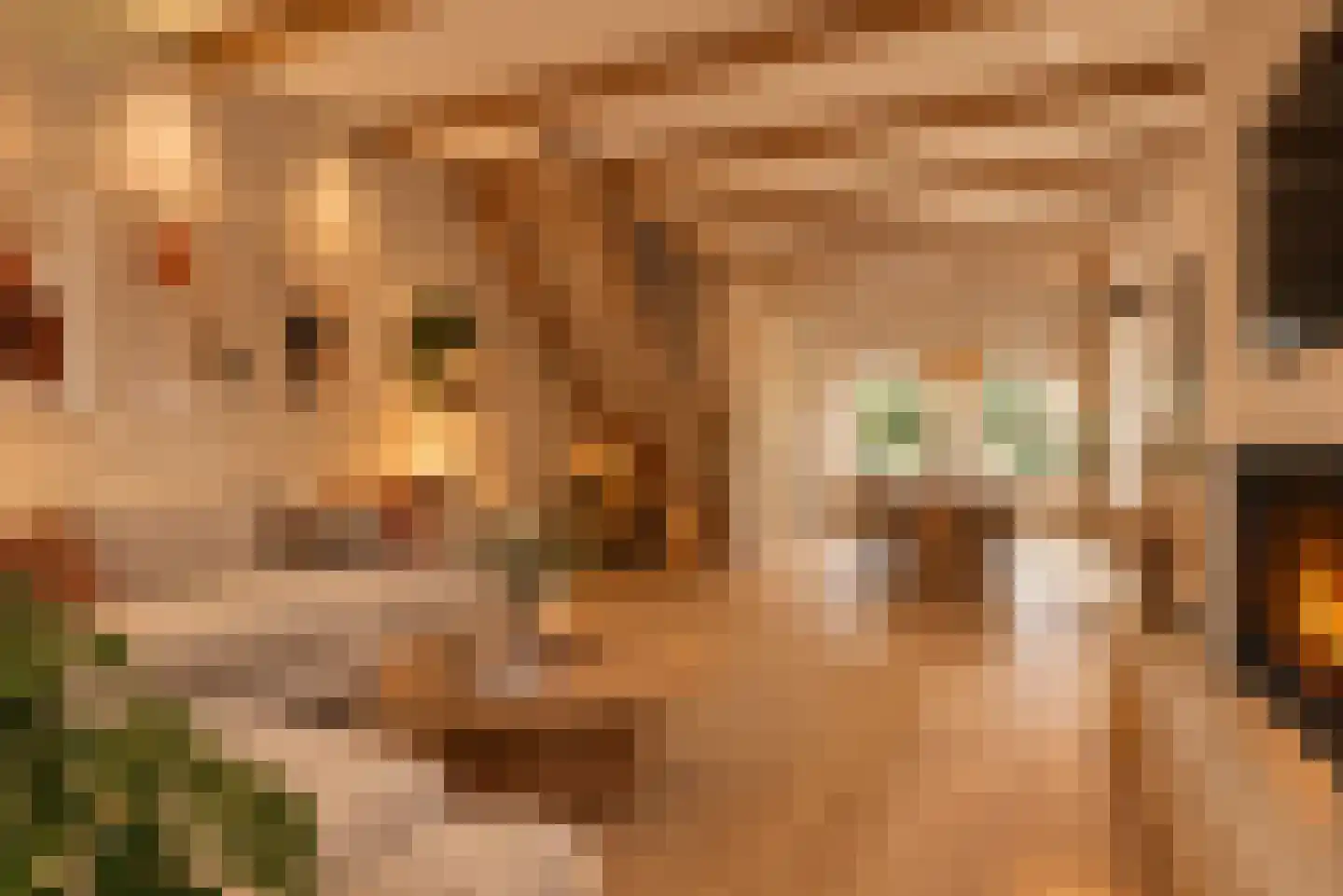 Lucas van Leijdenstraat 8 Leiden thumbnail 11