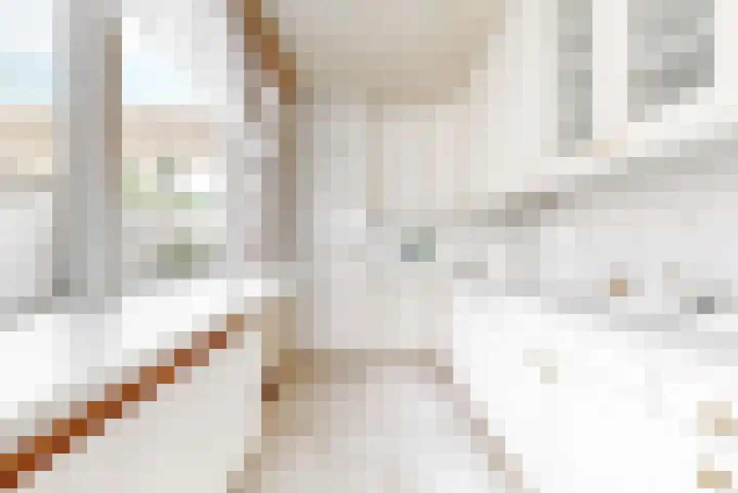 Lucas van Leijdenstraat 8 Leiden thumbnail 13