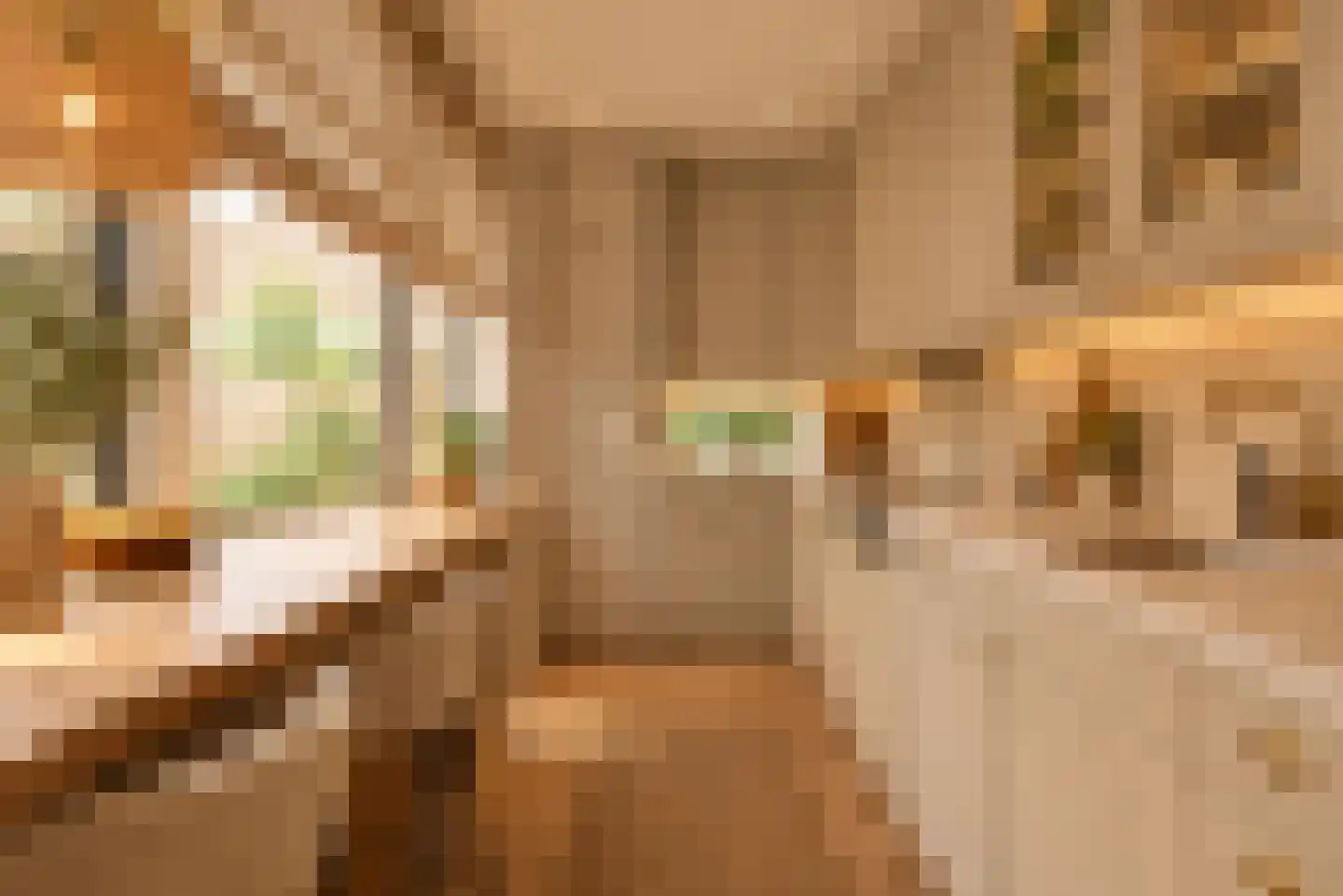 Lucas van Leijdenstraat 8 Leiden thumbnail 14