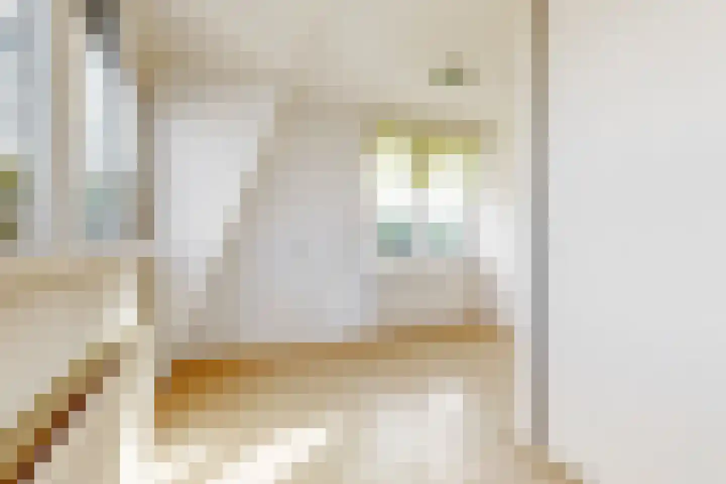 Lucas van Leijdenstraat 8 Leiden thumbnail 22