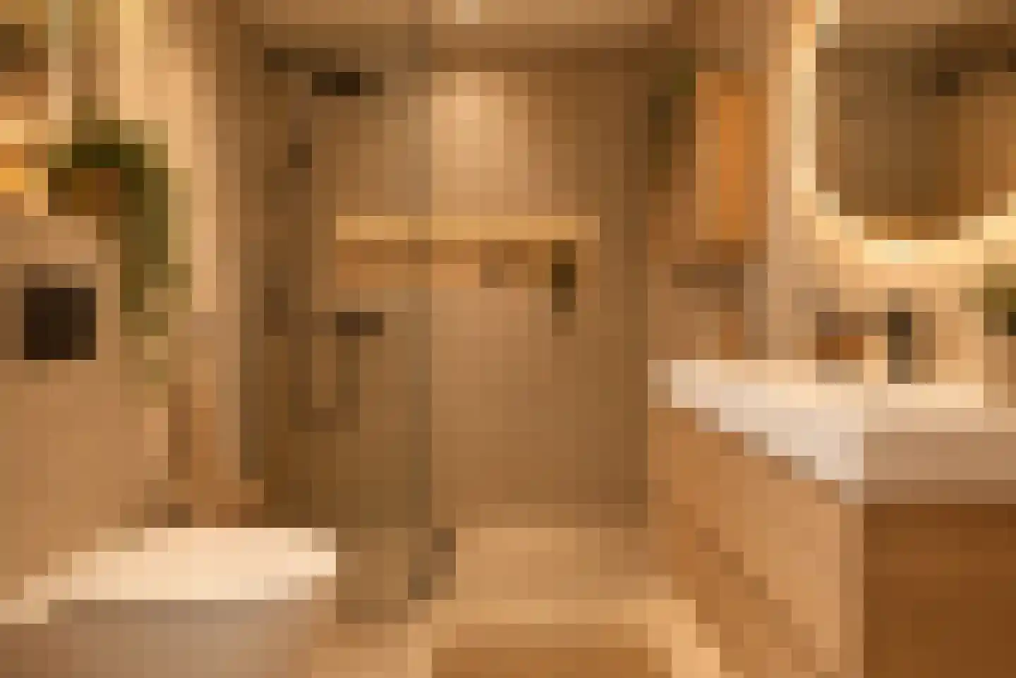 Lucas van Leijdenstraat 8 Leiden thumbnail 27